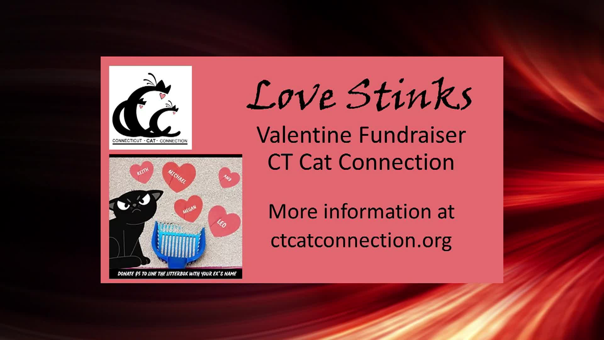 BOE Finance Feb 4, 2026