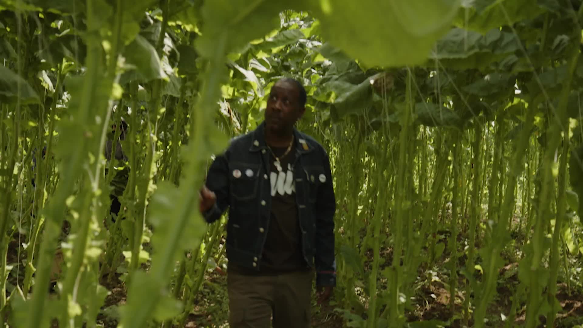 Thumbnail image for Tobacco Documentary Episode 5